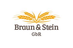 docs/slide_braun_stein_logo.jpg